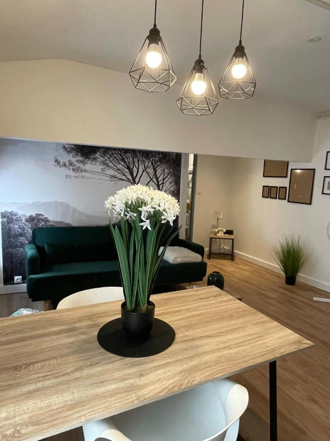 Magnifique Appartement Au Coeur De La Ville Beziers Ngoại thất bức ảnh